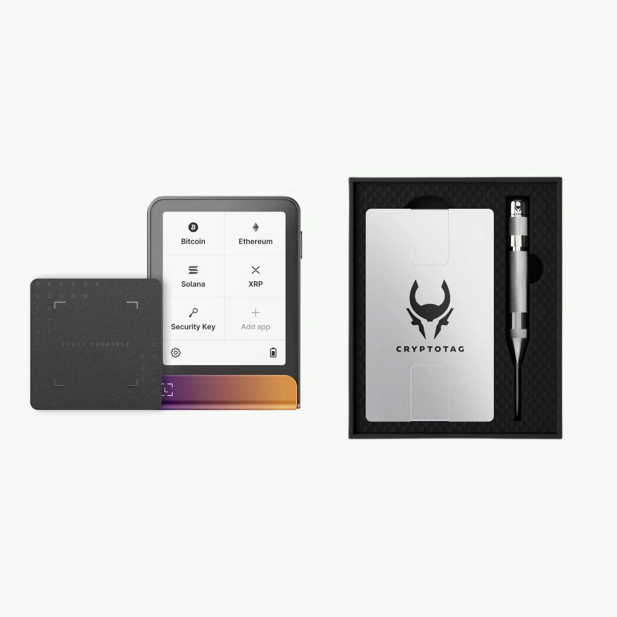 #Kleur_Ferro Fuchsia